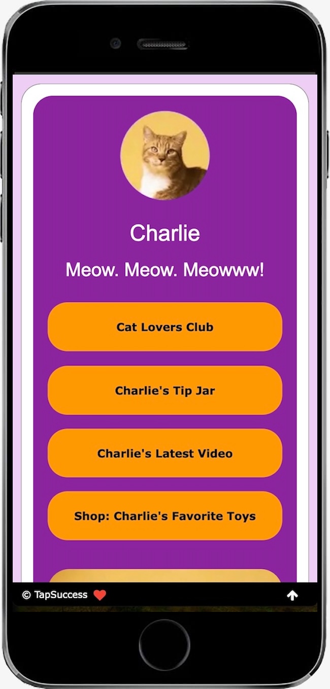 TapSuccess57 TapSuccess Theme