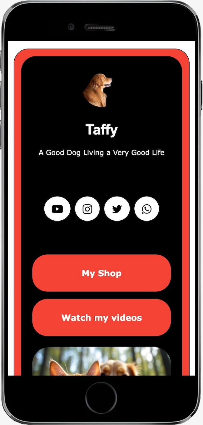TapSuccess62 TapSuccess Theme